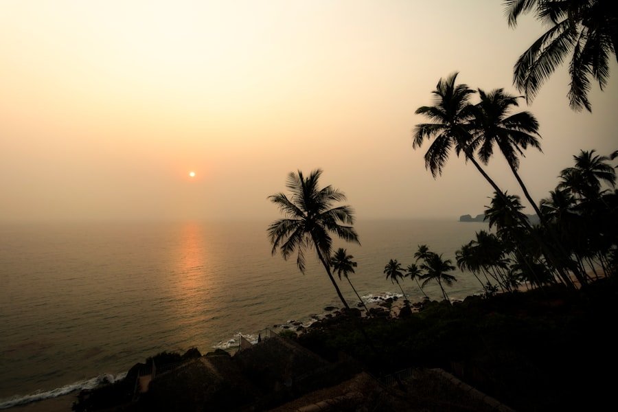 Tropical beach