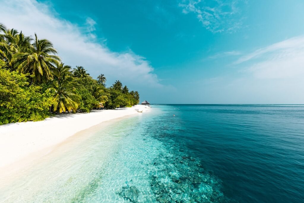 Photo Tropical beach